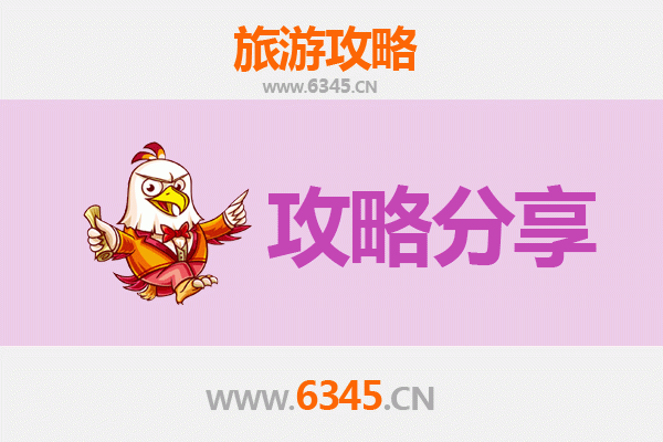 上海宝山旅游攻略：跟团与自由行全方位对比