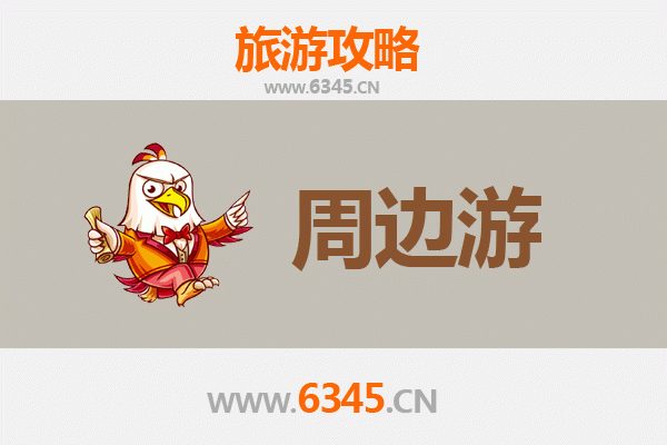 上海宝山周边游全攻略：工业风情与生态休闲的完美融合