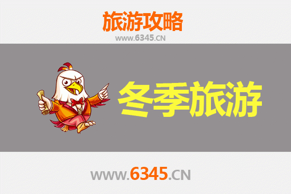 上海宝山冬季旅游攻略：工业风情与暖冬体验的完美融合